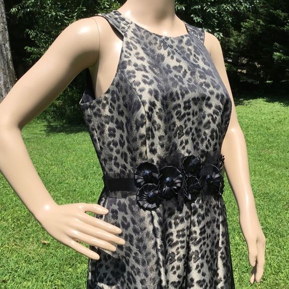 NWT $178 Muse | Lord & Taylor | Leopard Print Dress w Adornment At Waist - Picture 3 of 7